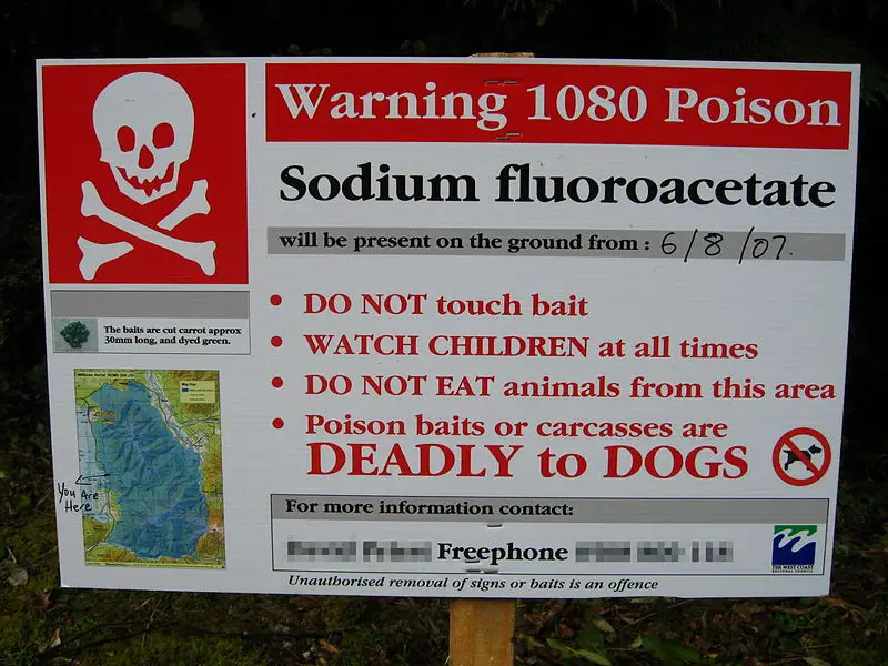 File:1080PoisonWarning gobeirne.jpg