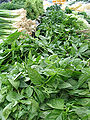Thumbnail for version as of 21:25, 2 December 2007