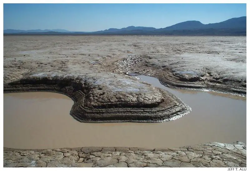 File:Mojave CoyoteDryLake.jpg
