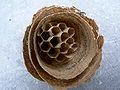 Thumbnail for version as of 15:42, 28 September 2008