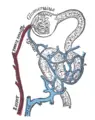 Thumbnail for version as of 16:49, 24 January 2009