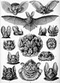 Thumbnail for version as of 22:38, 30 June 2006