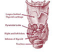 Thumbnail for version as of 22:50, 7 November 2006
