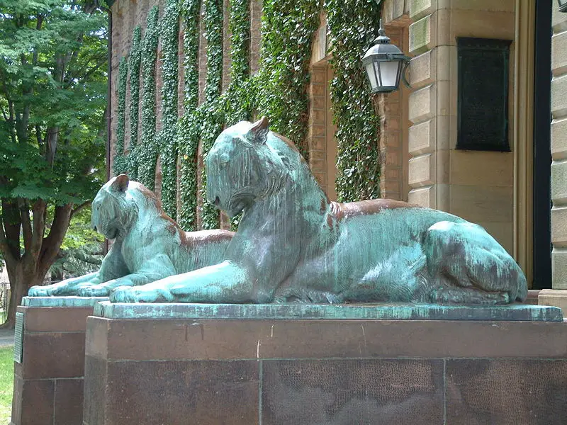 File:Princeton University Nassua tigers.jpg