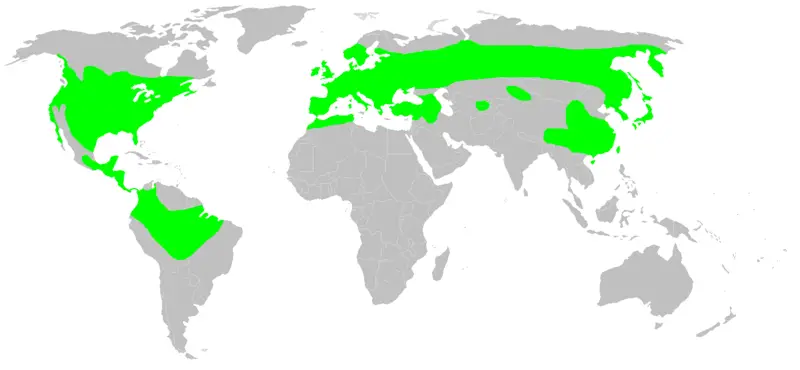 File:Distribution.caudata.1.png