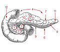 Thumbnail for version as of 20:30, 8 May 2007
