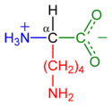 Lysine-zwitterion-2D.png
