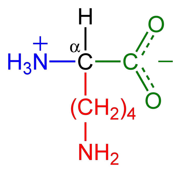 File:Lysine-zwitterion-2D.png