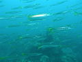 Thumbnail for version as of 23:41, 18 September 2007