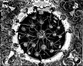 Thumbnail for version as of 00:40, 22 January 2007