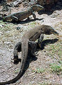 Thumbnail for version as of 19:35, 5 June 2008