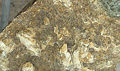Thumbnail for version as of 01:47, 9 May 2007