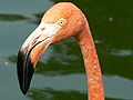 Thumbnail for version as of 18:50, 14 July 2008